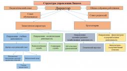 Структура и органы управления МБОУ "Лицей №165"